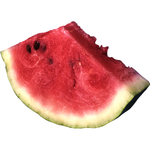 watermelon PNG image-2659